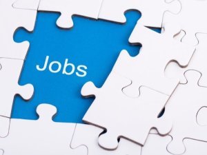 jobs august 2025